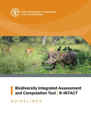 cover image of Biodiversity Integrated Assessment and Computation Tool / B-INTACT